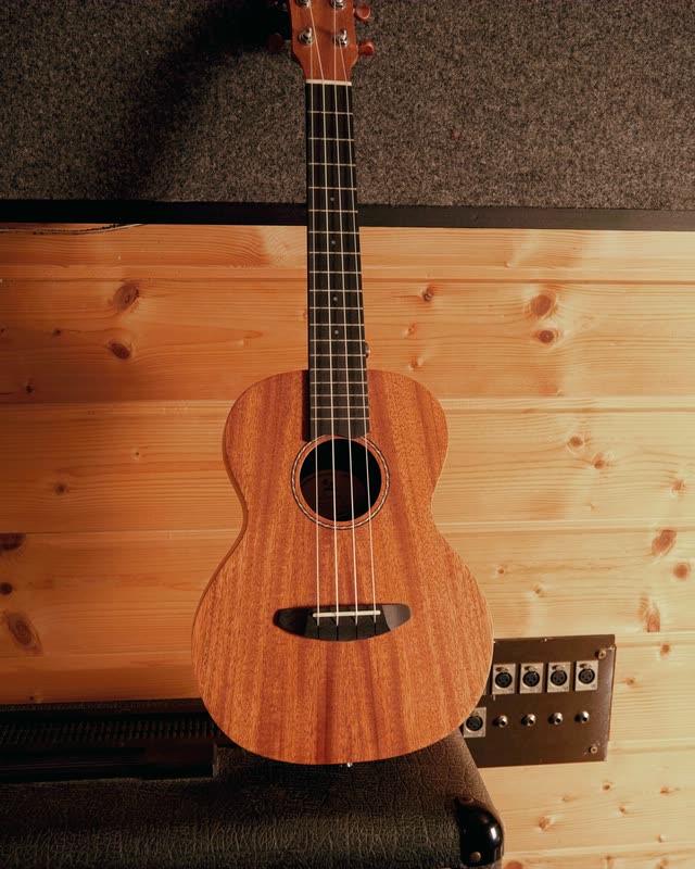 Ukulele